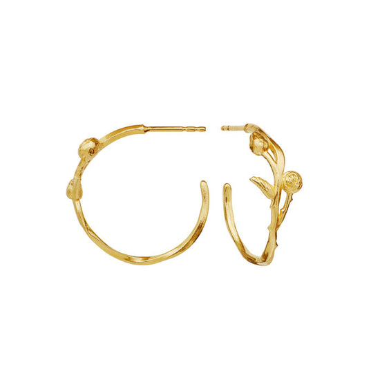 Kalyna øreringe Forgyldt Maanesten