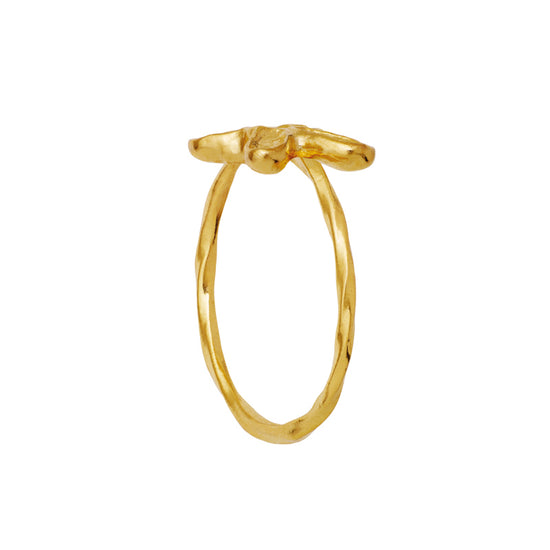Pepe forgyldt Ring Maanesten