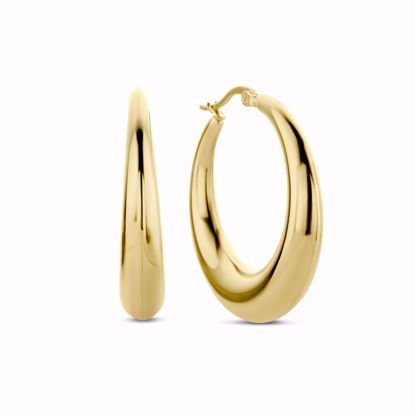 CO88 Stål creoler IP guldbelagt Stål creoler