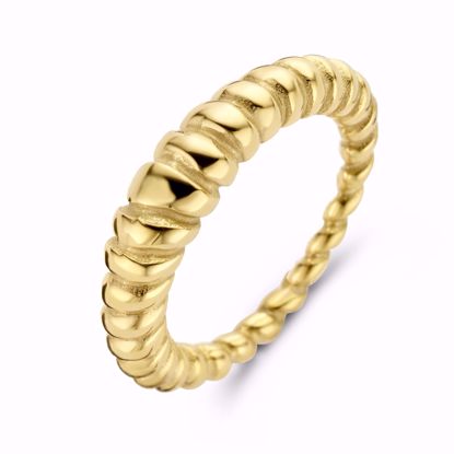 CO88 IP guld stål ring