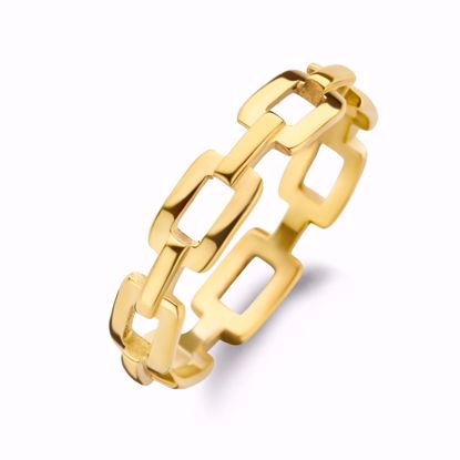 CO88 IP guld ring stål