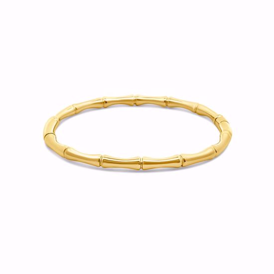 CO88 IP guldbelagt armring Stål