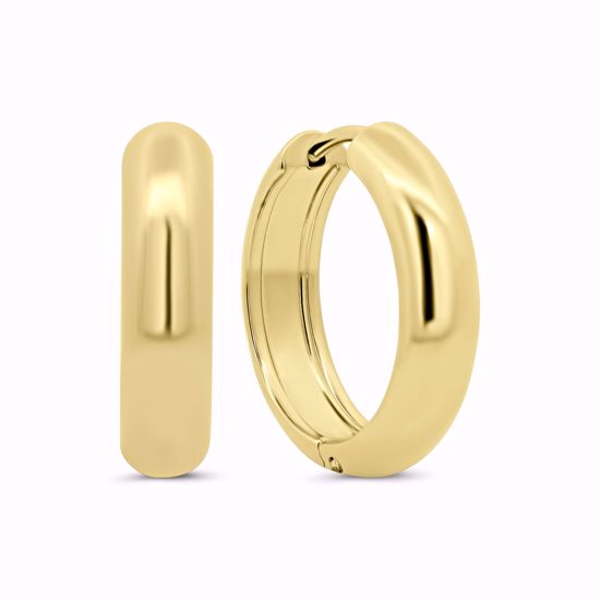 CO88 IP guldbelagte Stål creoler