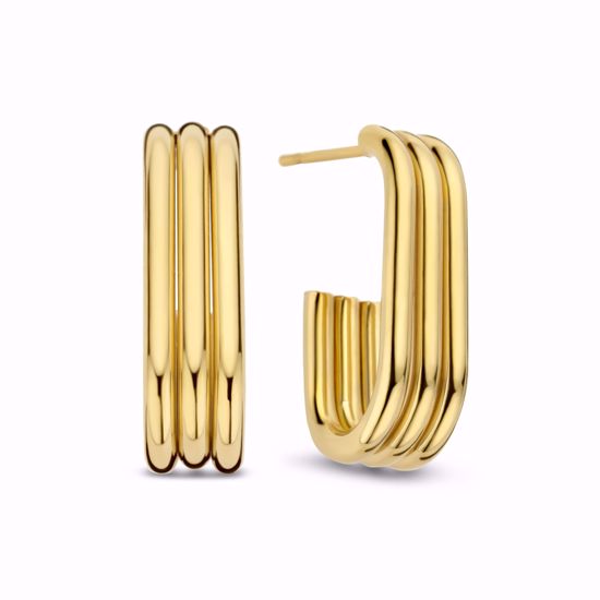 CO88 IP guldbelagte Stål ørestikker