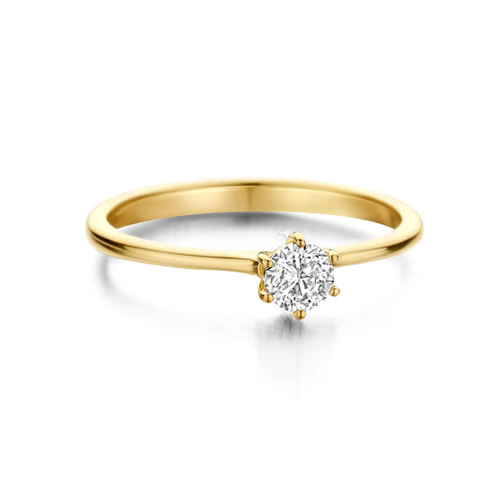 SELINA ring forgyldt sølv Spirit icons
