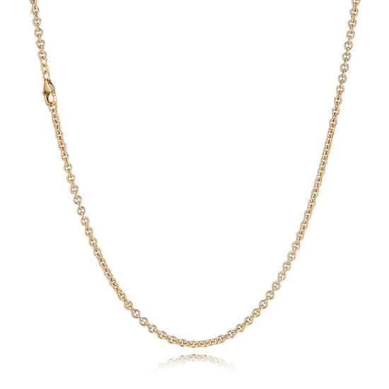 14K Anker Rund 0,70 mm guld