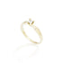 14K Jewelz Ring RG 0,05ct st. 53 brillant W-Tca/SI